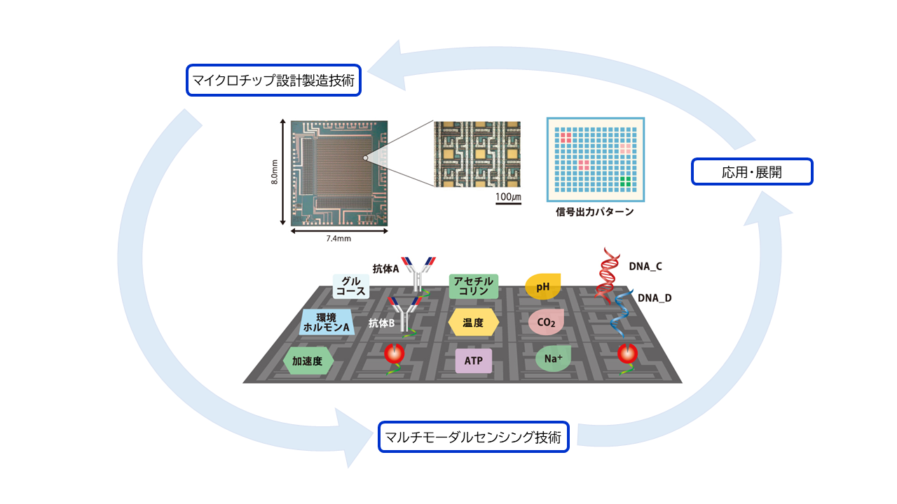 http://riti.tut.ac.jp/strategy/mt_files/2022tip_photo_sawada.png