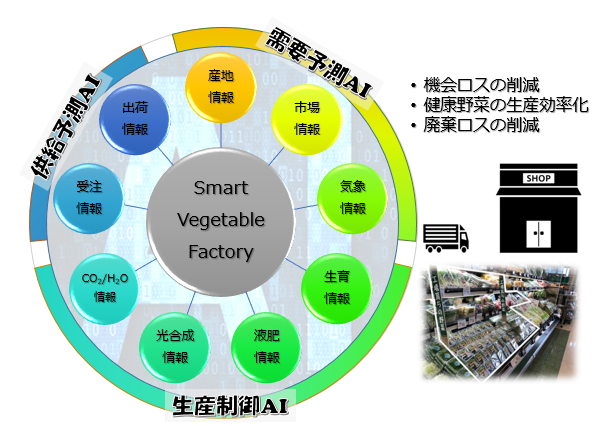 市場連動型ＡＩ野菜工場の自動最適制御技術の開発